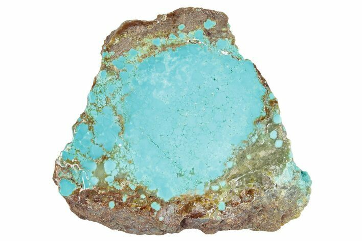 Polished Turquoise Slab - Number Mine, Carlin, NV #292310